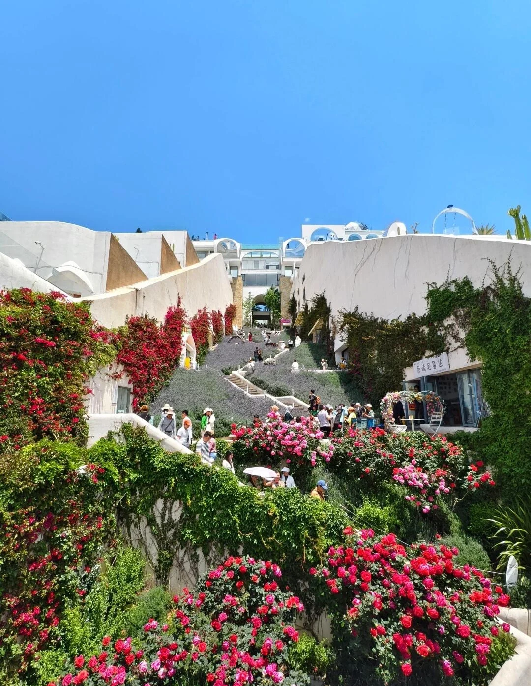 Dali, ville idéale de style Santorin : un village à l'architecture méditerranéenne blanche, des terrasses fleuries et une promenade pittoresque à flanc de colline. Où séjourner à Dali : meilleurs quartiers et hôtels 2026 - The China Journey Dali, ville idéale de style Santorin : un village à l'architecture méditerranéenne blanche, des terrasses fleuries et une promenade pittoresque à flanc de colline. Où séjourner à Dali : meilleurs quartiers et hôtels 2026 - The China Journey