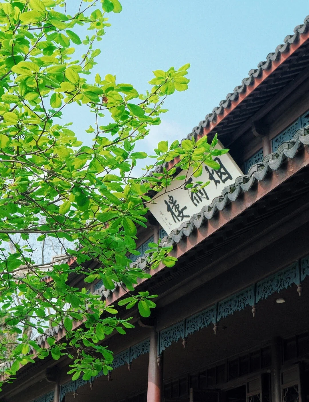 Lentepaviljoen bij het Nanhu-meer in Jiaxing, met frisgroene bomen en traditionele gebouwen aan het meer onder een heldere lentelucht - Reisgids voor Jiaxing: waterstadjes, routes en tips 2026 - The China Journey Lentepaviljoen bij het Nanhu-meer in Jiaxing, met frisgroene bomen en traditionele gebouwen aan het meer onder een heldere lentelucht - Reisgids voor Jiaxing: waterstadjes, routes en tips 2026 - The China Journey