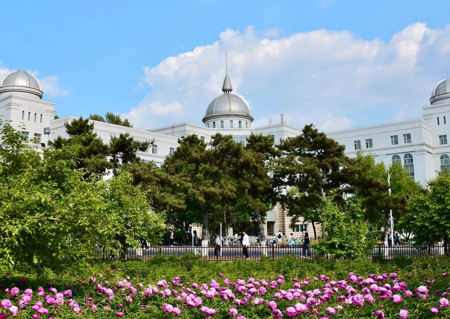 Lentezicht op de campus van Jilin University in Changchun – Elegant wit universiteitsgebouw met koepel tussen bloeiende bloemen en groen - Reisgids Changchun: geschiedenis, parken & tips 2026 - The China Journey Lentezicht op de campus van Jilin University in Changchun – Elegant wit universiteitsgebouw met koepel tussen bloeiende bloemen en groen - Reisgids Changchun: geschiedenis, parken & tips 2026 - The China Journey