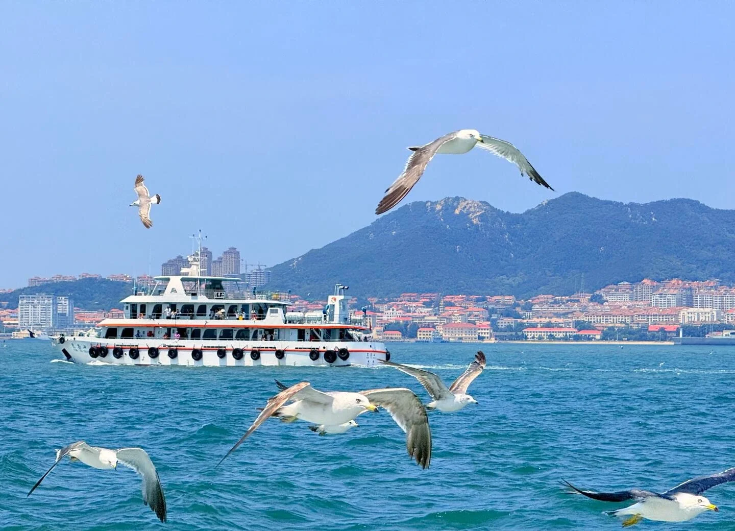 Fährblick mit Möwen vor der Insel Liugong, Vögel über blauem Meer, Passagierfähre und Küstenberge im Hintergrund – Weihai-Reiseführer: Sehenswürdigkeiten, Strände & Tipps 2026 – The China Journey Fährblick mit Möwen vor der Insel Liugong, Vögel über blauem Meer, Passagierfähre und Küstenberge im Hintergrund – Weihai-Reiseführer: Sehenswürdigkeiten, Strände & Tipps 2026 – The China Journey