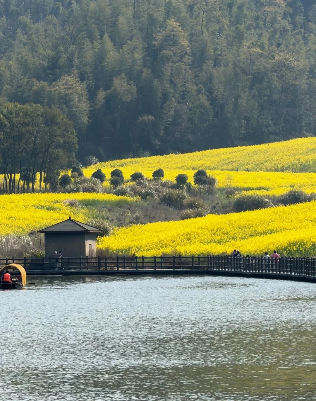 Rapsmarker ved Lion Peak i Meiling; fredelig gangbro ved søen ved siden af klare gule rapsblomster og skovklædte bakker - Rejseguide til Nanchang: Bedste oplevelser og tips 2026 - The China Journey Rapsmarker ved Lion Peak i Meiling; fredelig gangbro ved søen ved siden af klare gule rapsblomster og skovklædte bakker - Rejseguide til Nanchang: Bedste oplevelser og tips 2026 - The China Journey