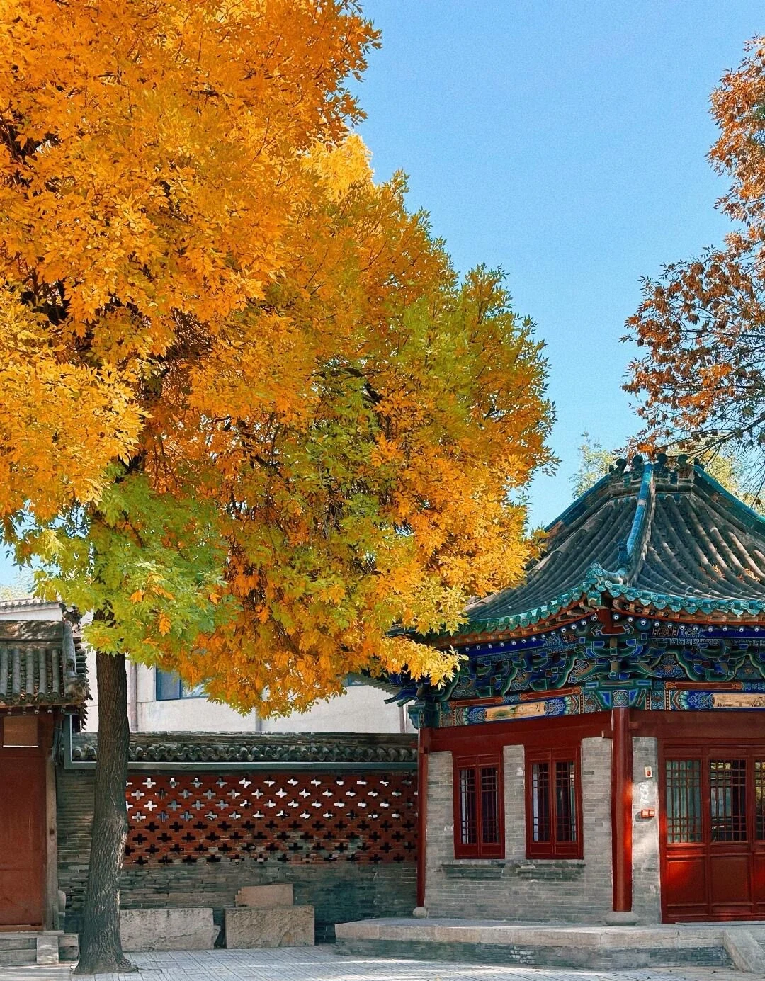 Taiyuan Confucian Temple om efteråret, gyldent løv ved en klassisk pavillon skaber et fredeligt årstidslandskab i den historiske gård - Taiyuan rejseguide: Bedste rejseplan og tips 2026 - The China Journey Taiyuan Confucian Temple om efteråret, gyldent løv ved en klassisk pavillon skaber et fredeligt årstidslandskab i den historiske gård - Taiyuan rejseguide: Bedste rejseplan og tips 2026 - The China Journey