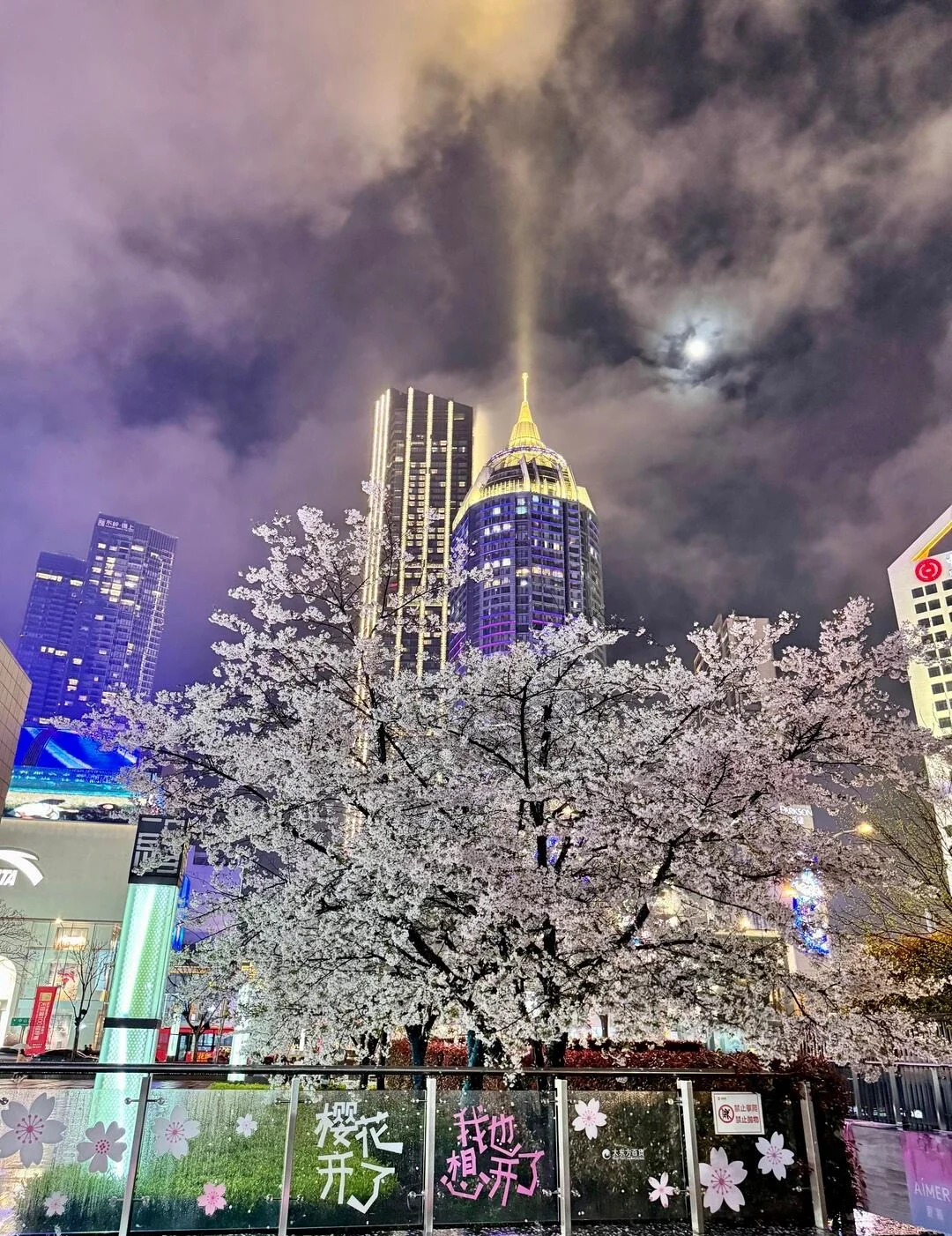 Urbant aftensceneri med kirsebærblomster i Wuxi, sakuratræer under bylys med moderne bygninger og overskyet nattehimmel - Wuxi rejseguide: Bedste rejseplan og tips 2026 - The China Journey Urbant aftensceneri med kirsebærblomster i Wuxi, sakuratræer under bylys med moderne bygninger og overskyet nattehimmel - Wuxi rejseguide: Bedste rejseplan og tips 2026 - The China Journey